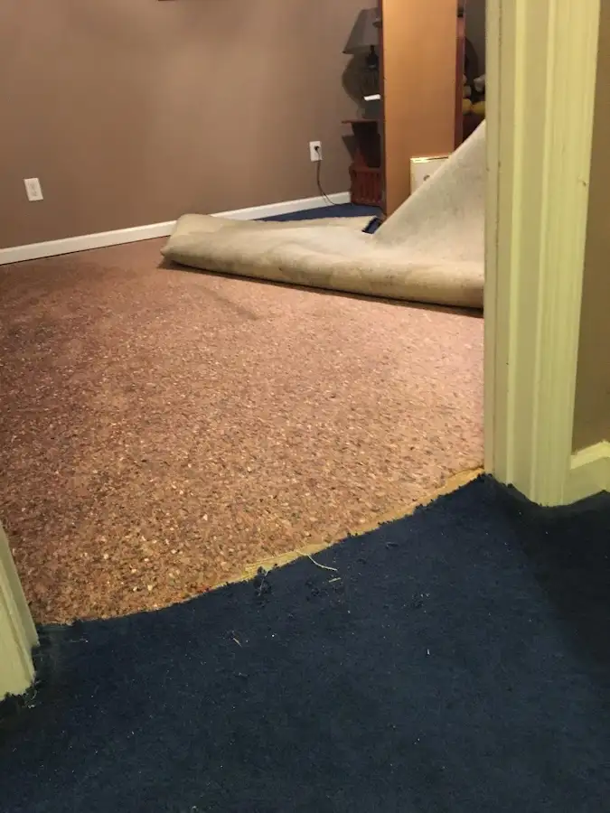 Carpet pad removal revealing water damage during Drying & Dehumidification in Clinton